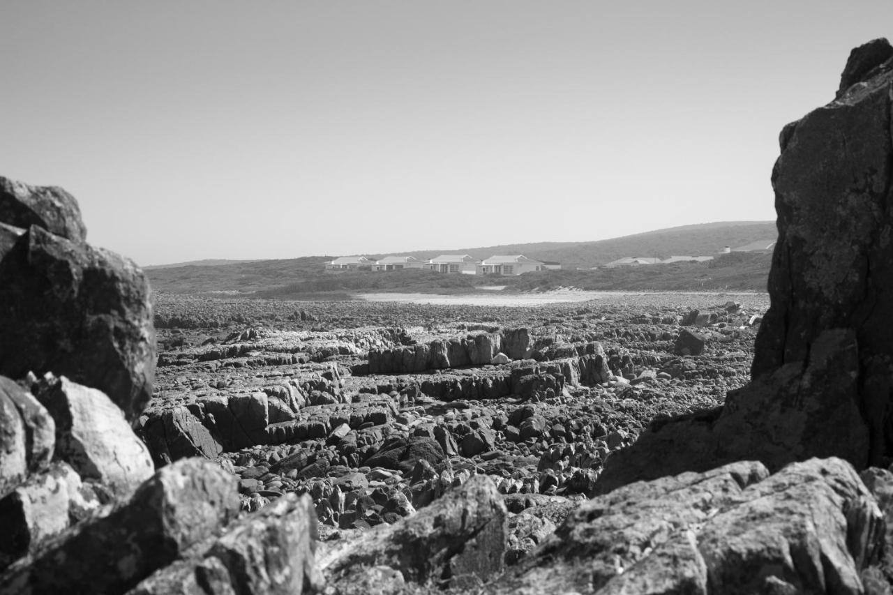 Gourikwa Nature Reserve Gouritzmond Екстериор снимка